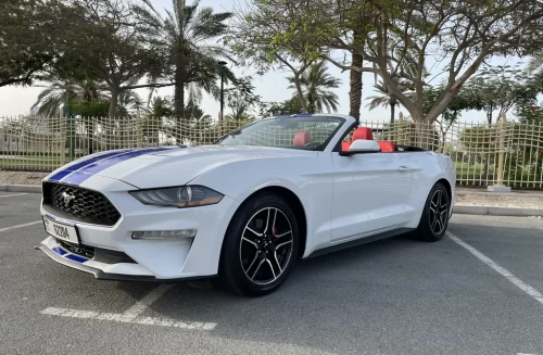 Frod Mustang Cabrio White
