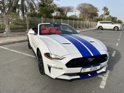 Frod Mustang Cabrio White