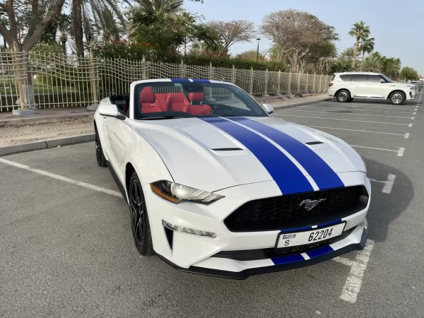 Frod Mustang Cabrio White