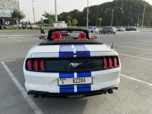 Frod Mustang Cabrio White