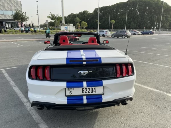 Frod Mustang Cabrio White