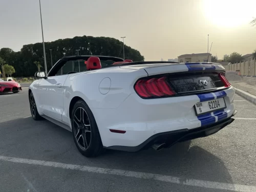 Frod Mustang Cabrio White
