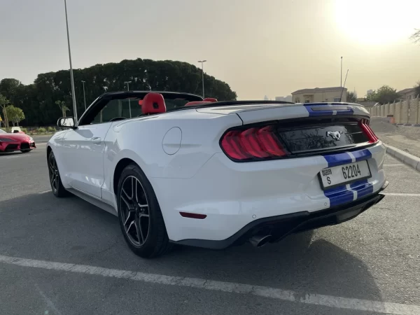 Frod Mustang Cabrio White
