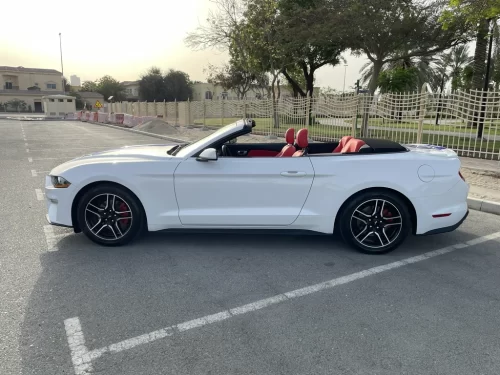 Frod Mustang Cabrio White