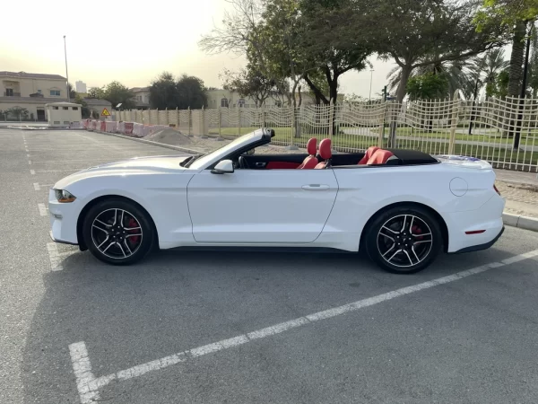 Frod Mustang Cabrio White