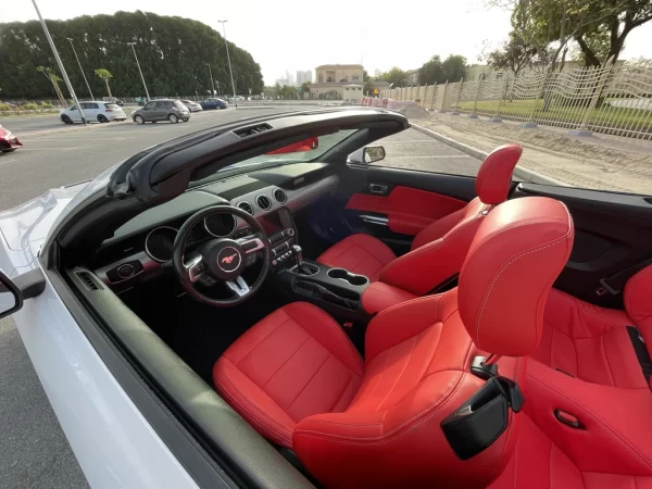 Frod Mustang Cabrio White
