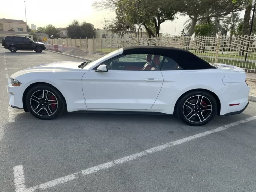 Frod Mustang Cabrio White