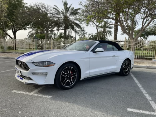 Frod Mustang Cabrio White
