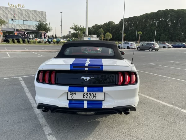 Frod Mustang Cabrio White